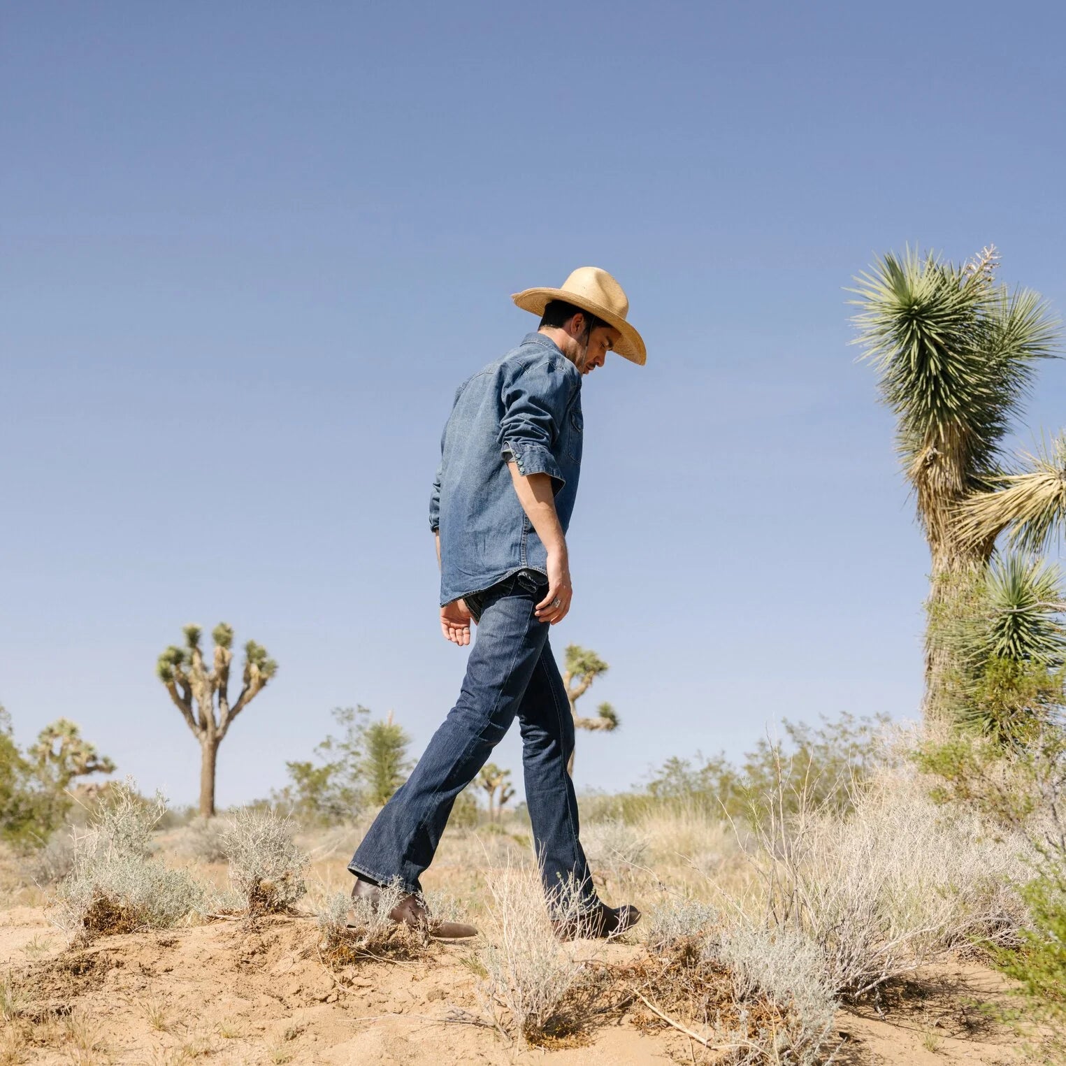 Stetson | Bryce Palm | Natural