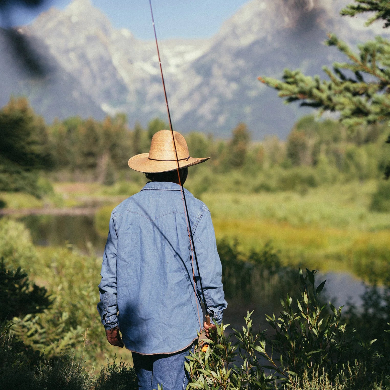 Stetson | Bryce Palm | Natural