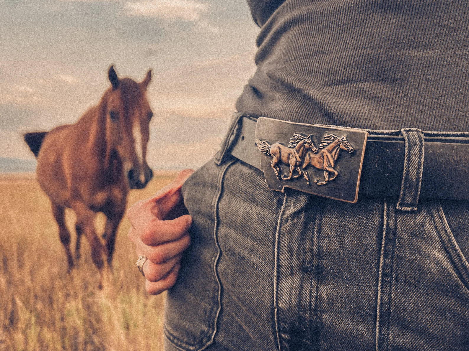 Waterhorse Bronze | Montana Running Horses | Black