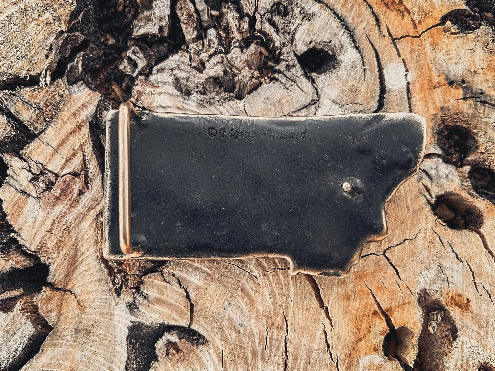 Waterhorse Bronze | Montana Running Horses | Black