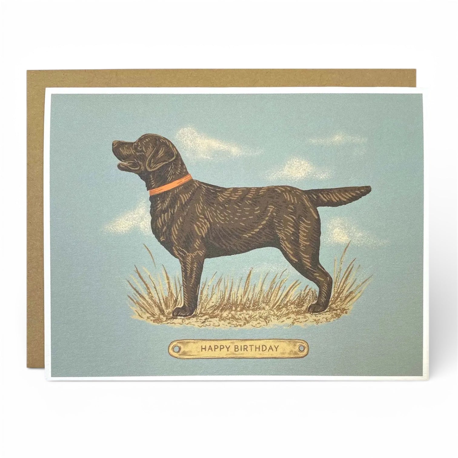 Happy Birthday Chocolate Lab Greeting Card