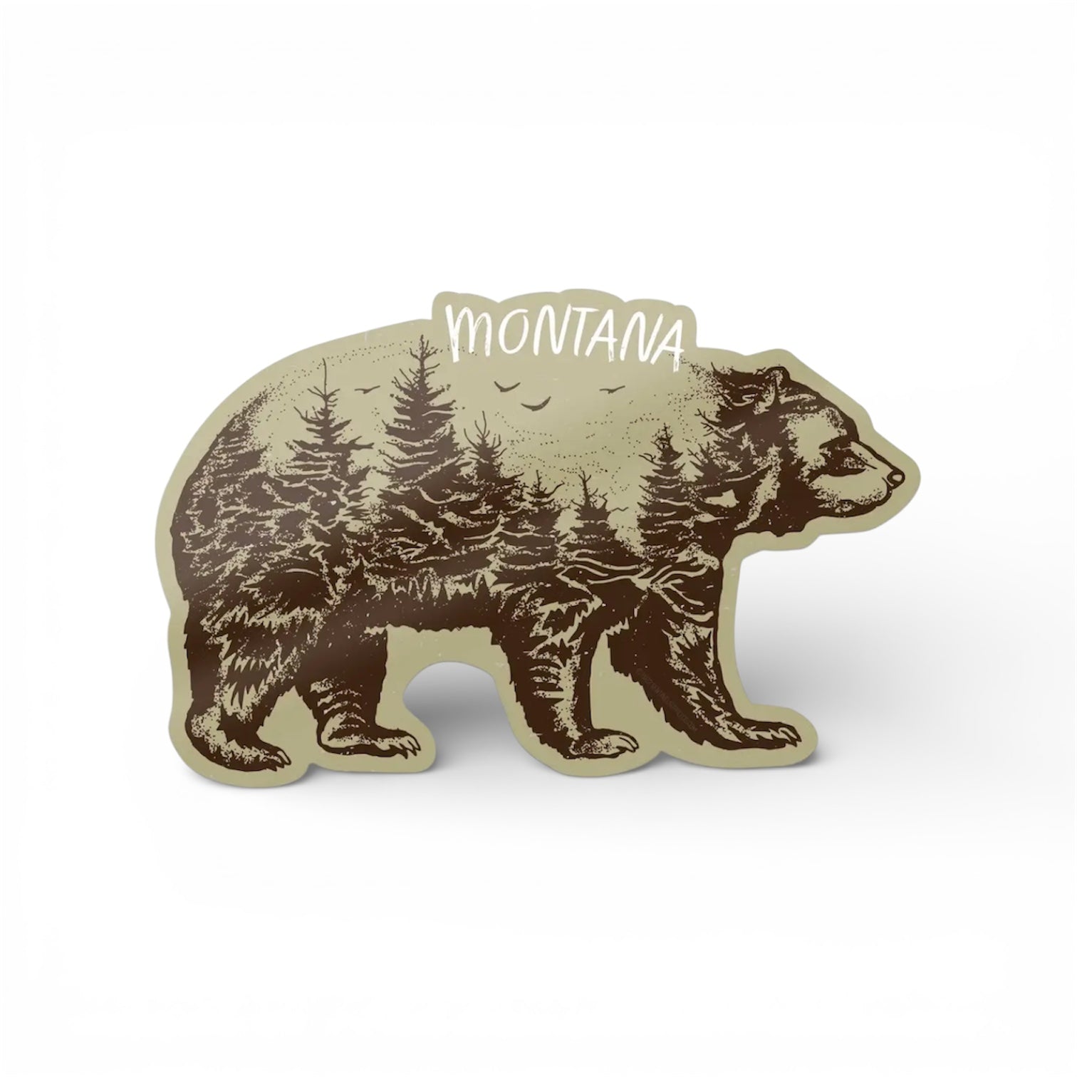 Montana Grizzly Bear Sticker