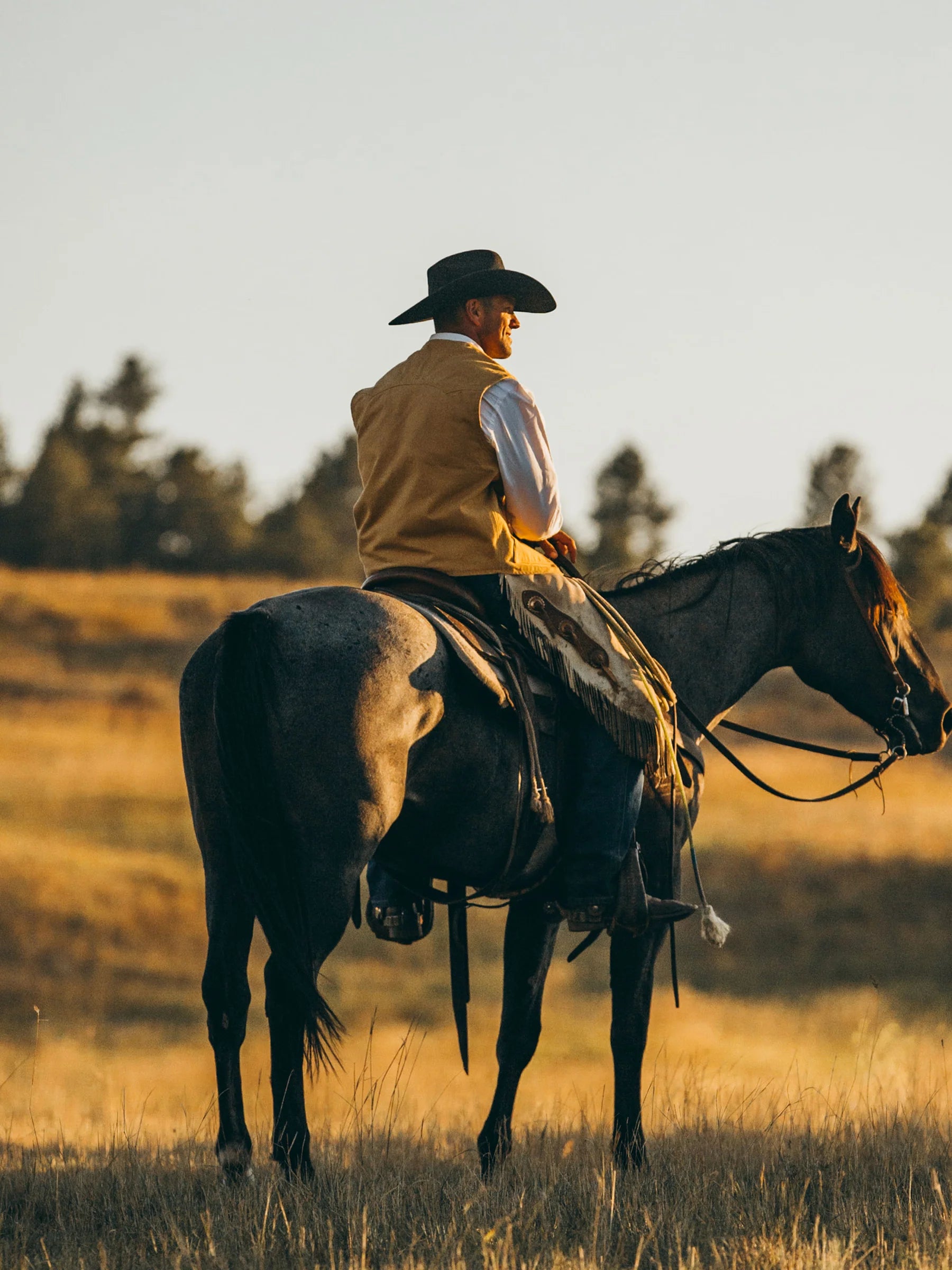 Schaefer Outfitter | Brushcloth Vest | Suntan