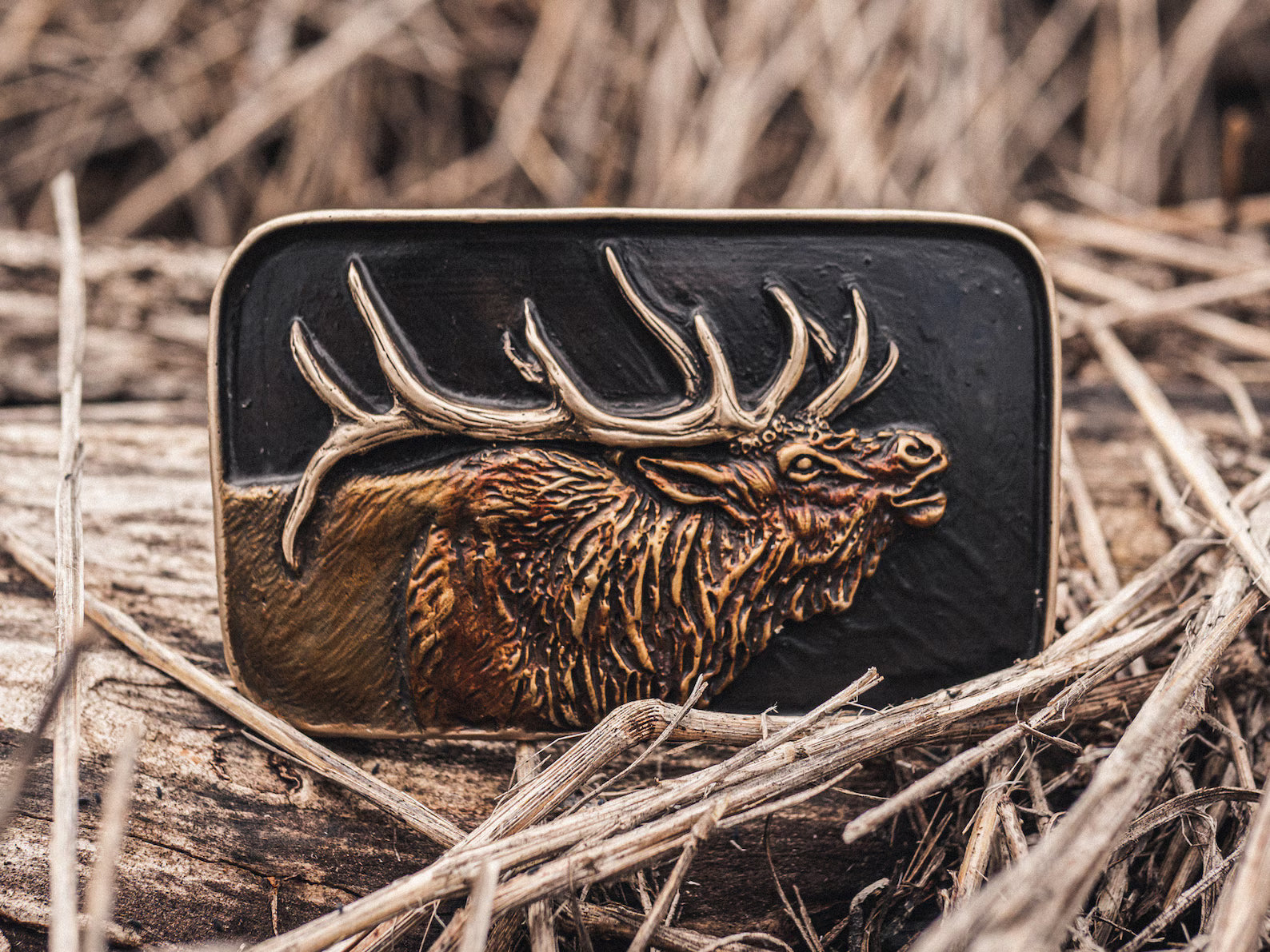 Bull Elk Bronze Belt Buckle | Black | Rectangle