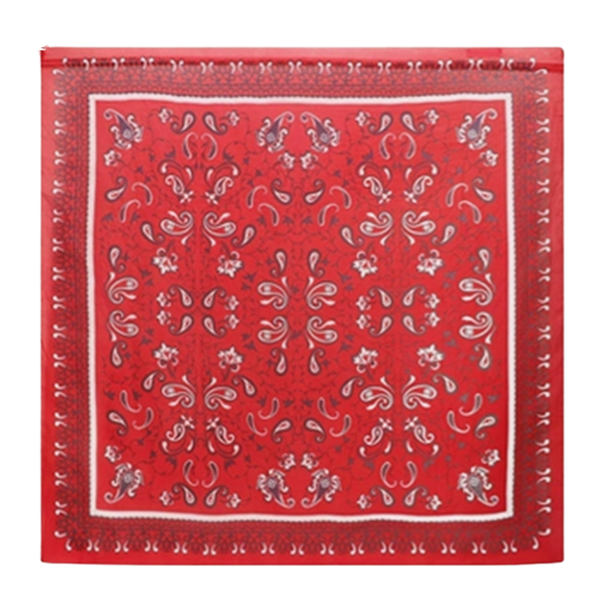 Loyal West Bandana Canyon Scarlet Silk Scarves