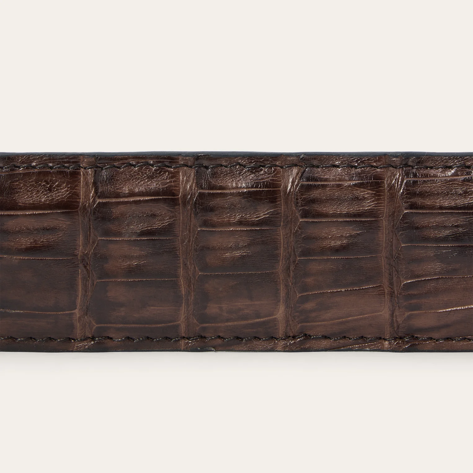 Stetson | Caiman Belt | Cigar Classic